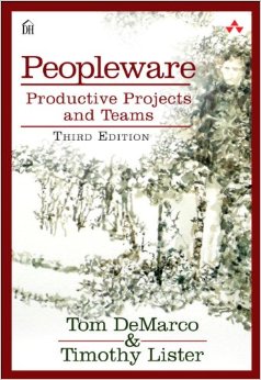 7 Bücher für den erfolgreichen Projektmanager in der Softwareentwicklung 7 Bücher für den erfolgreichen Projektmanager in der Softwareentwicklung